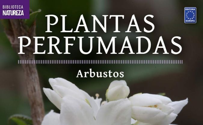 Colecao Plantas Perfumadas - 2 Arbustos