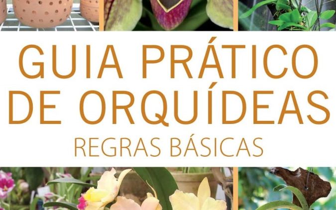 Guia Pratico de Orquideas: 1 - Regras Basicas