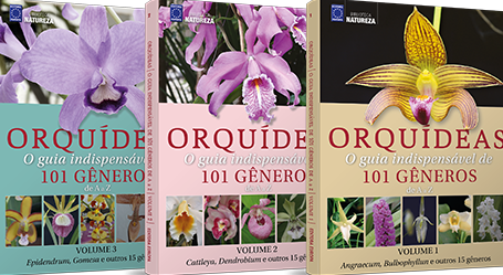 Coleção 101 Belas Orquídeas - 3 Volumes