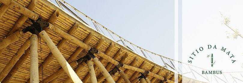 Cuidados e Durabilidade do Bambu na Construção Civil