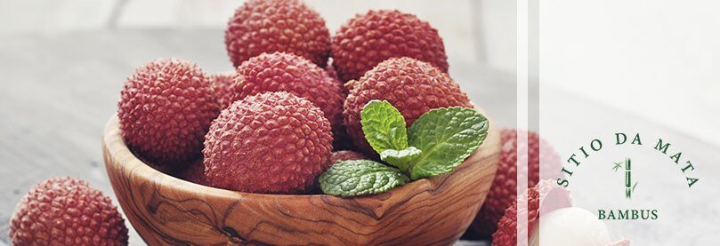 Lichia Lichia Plantio e Beneficios a Saude