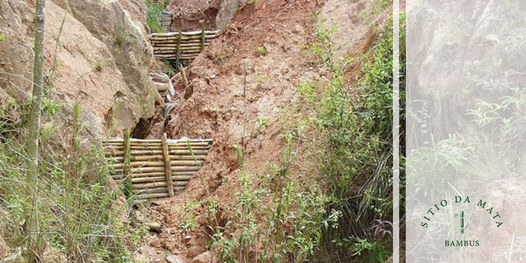 Contenção De Erosão Com Bambu Sitio Da Mata Bambus 4021