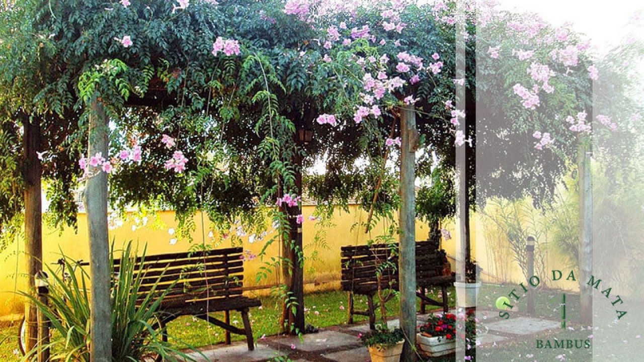 Ideias de Flores Para Pergolado - Sitio da Mata Bambus