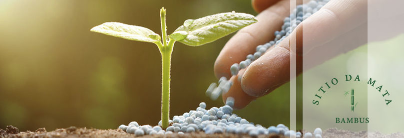 Conheça os tipos de fertilizantes e como usar