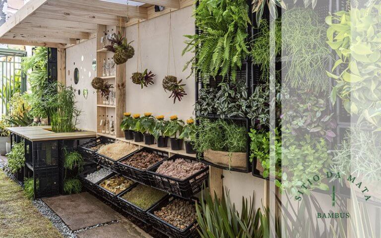 Jardim Sensorial: O Estilo e Plantas Para Renovar o Seu Jardim