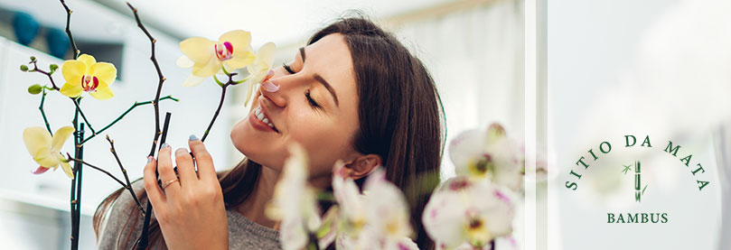 Como fazer um orquidário