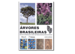 Árvores Brasileiras