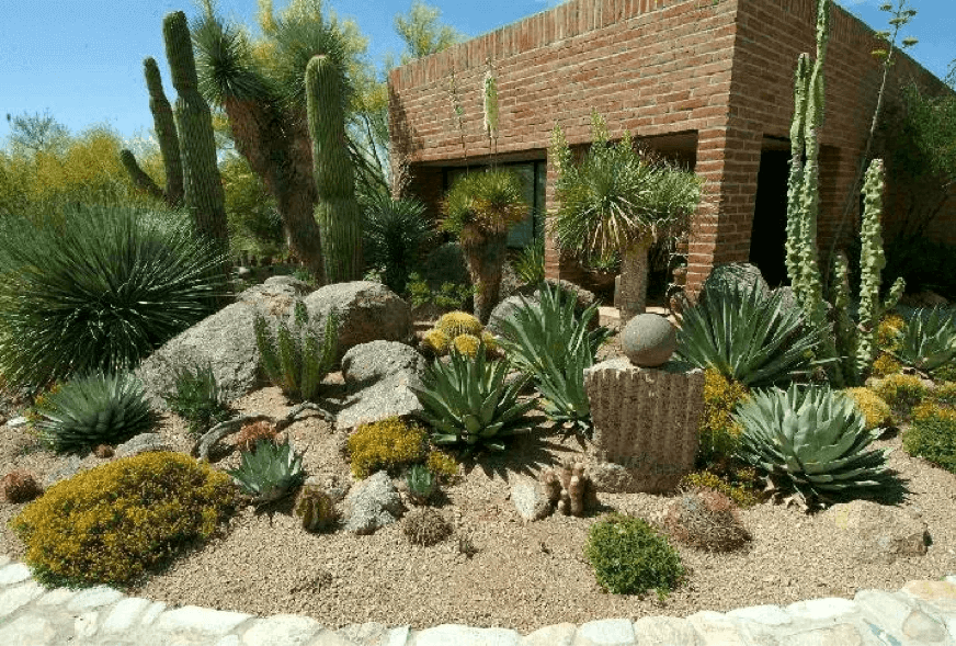 sítio da mata - Jardim Desertico