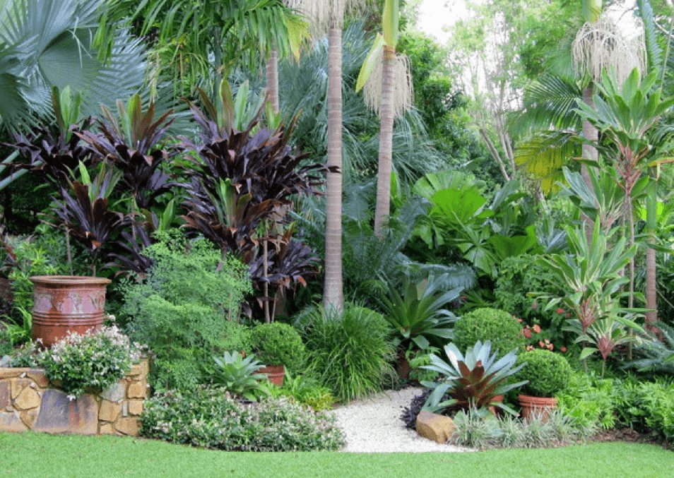 sítio da mata - Jardim Tropical